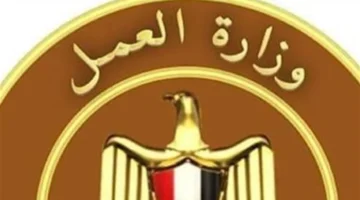 توجيه عاجل.. توفير آلاف وظائف لائقة للشباب وذوي الهمم قريباً